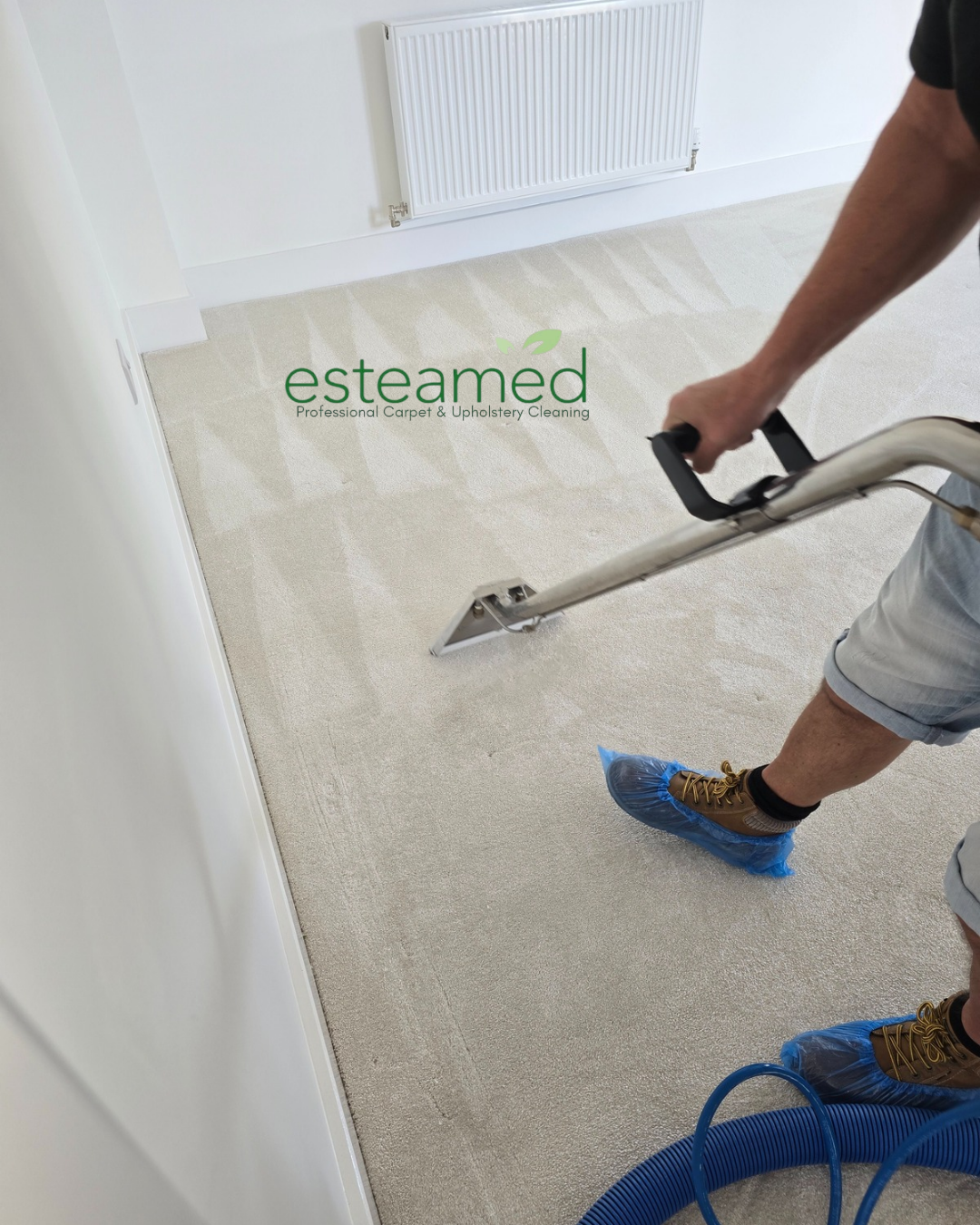 Esteamed team member cleaning a light carpet with an extraction wand