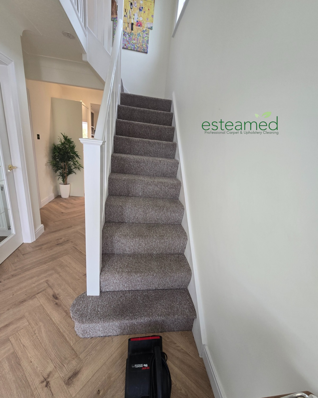 Grey stair carpet after cleaning by Esteamed